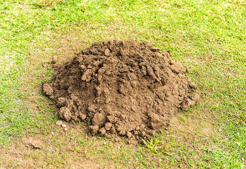 土壌・廃棄物分析