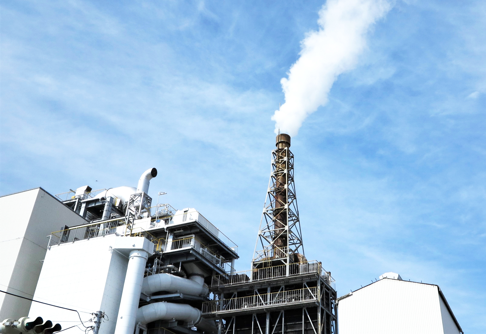 ダイオキシン類検査