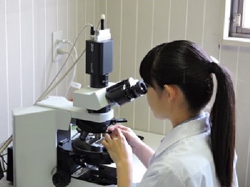 位相差顕微鏡によるアスベスト検査